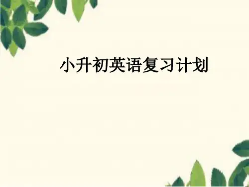 小升初英语复习计划