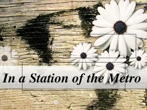 InaStionoftheMetro在地铁车站