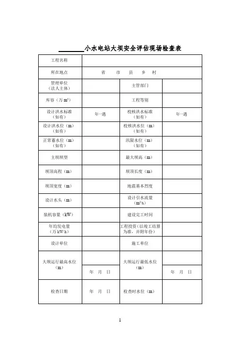 小水电站大坝安全评估现场检查表