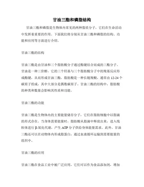 甘油三酯和磷脂结构