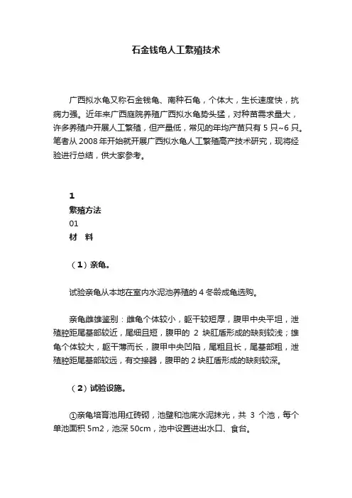 石金钱龟人工繁殖技术