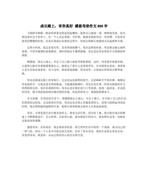 成长路上,有你真好 感恩母亲作文800字