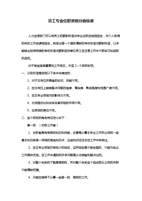 员工专业任职资格分级标准
