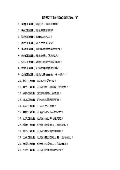 赞赏正能量的词语句子