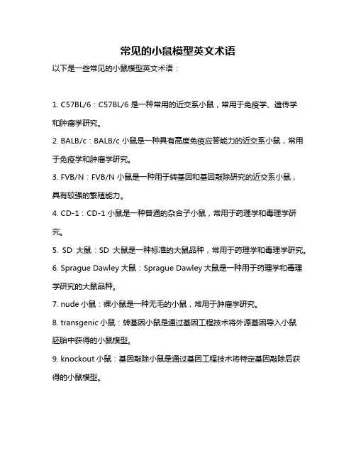 常见的小鼠模型英文术语