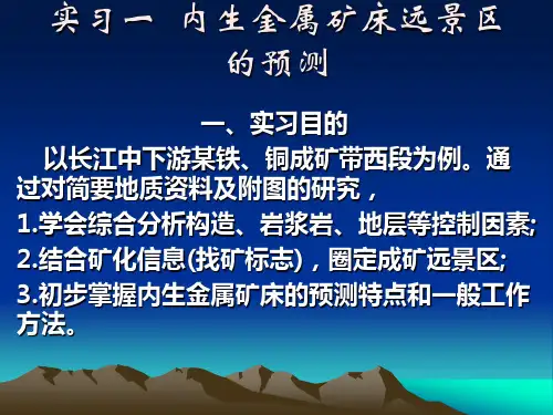 实习一  内生金属矿床远景区的预测
