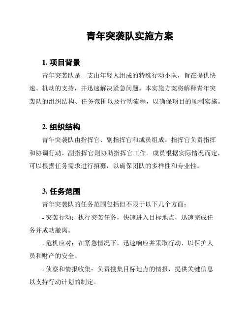 青年突袭队实施方案