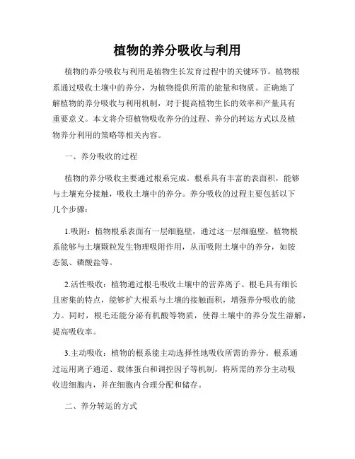 植物的养分吸收与利用
