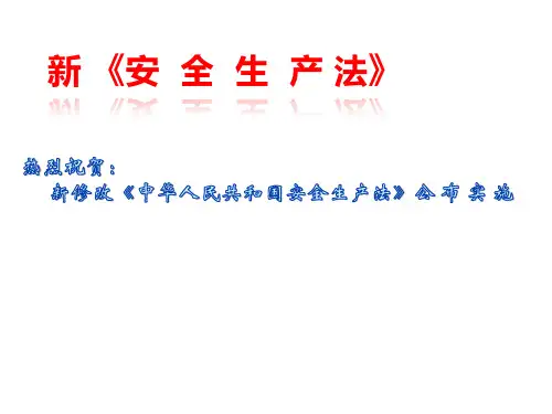 新安全生产法培训