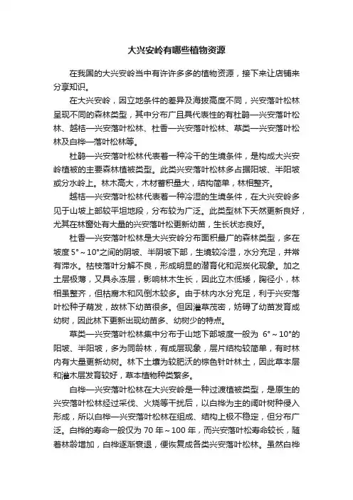 大兴安岭有哪些植物资源