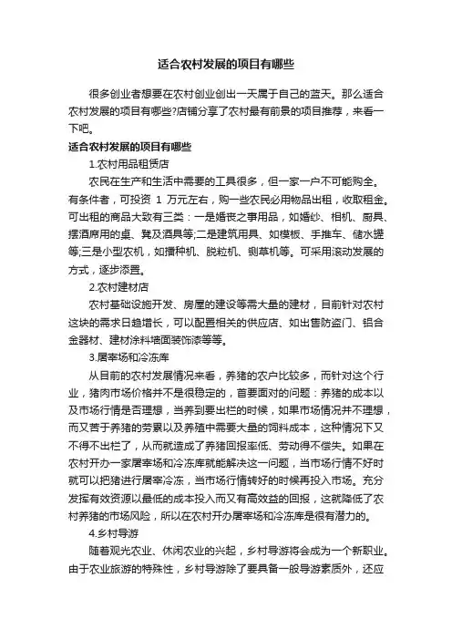 适合农村发展的项目有哪些