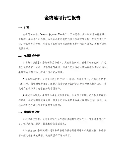 金线莲可行性报告