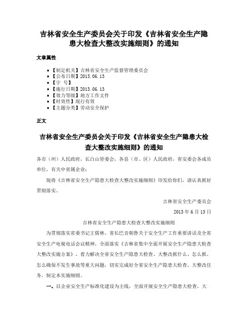 吉林省安全生产委员会关于印发《吉林省安全生产隐患大检查大整改实施细则》的通知