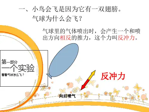 四年级上册科学课件-《2. 动力从哪儿来 》大象版优质PPT11