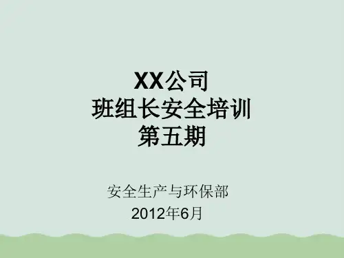 公司班组安全标准化建设(ppt 43页)