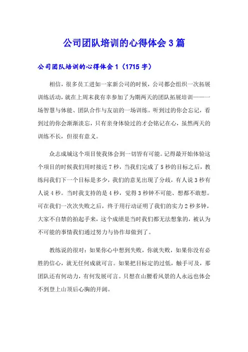 公司团队培训的心得体会3篇