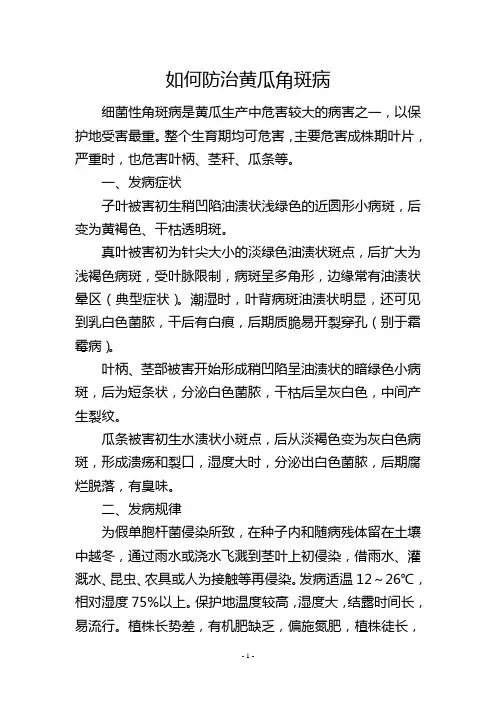 如何防治黄瓜角斑病