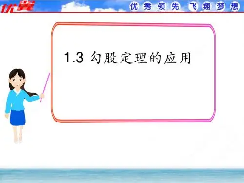 1.3 勾股定理的应用精选课件
