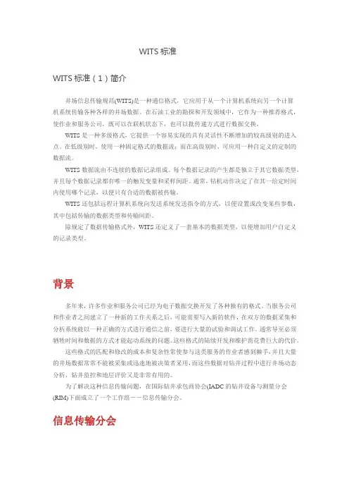 WITS、WITSML标准