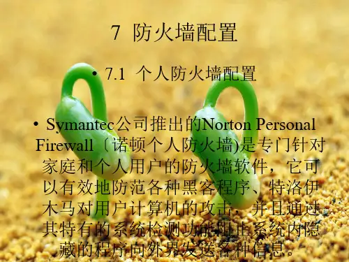网络安全与防火墙技术7 防火墙配置PPT
