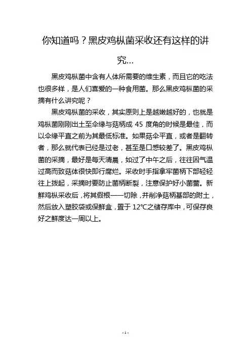 你知道吗？黑皮鸡枞菌采收还有这样的讲究…