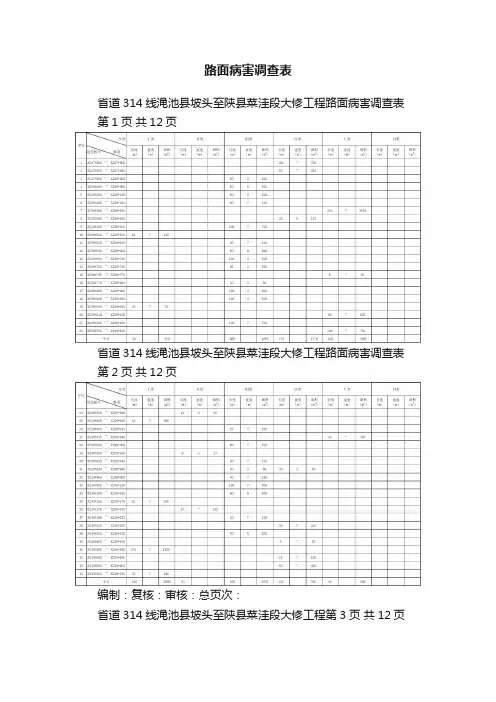 路面病害调查表
