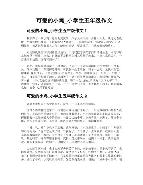 可爱的小鸡小学生五年级作文