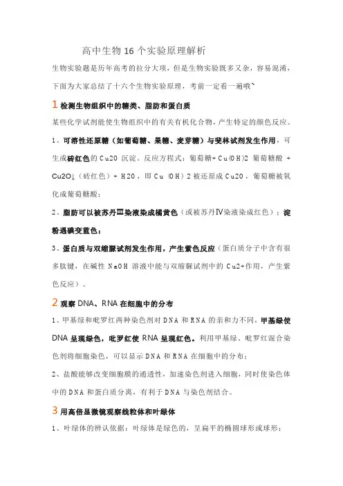 高中生物16个实验原理解析