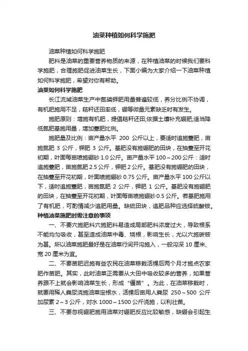 油菜种植如何科学施肥