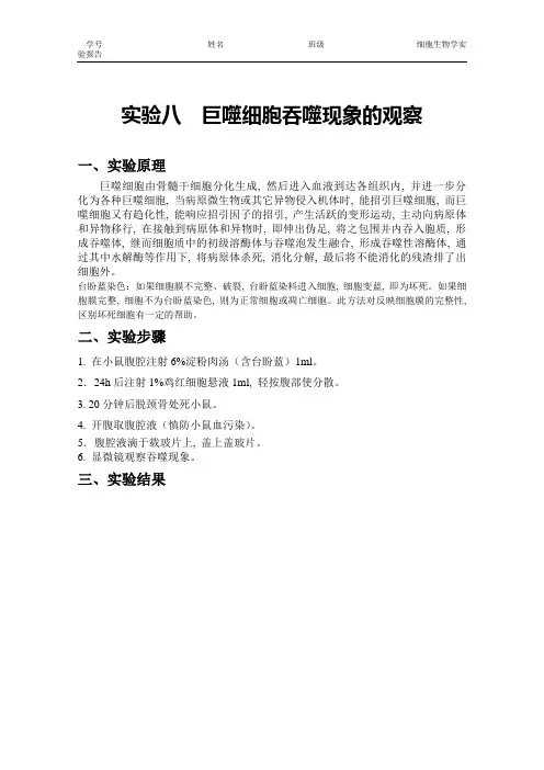 实验八巨噬细胞吞噬现象的观察