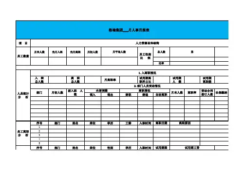 集团公司人事月报表模板(标准实用版)