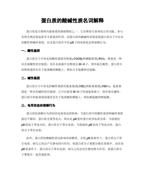 蛋白质的酸碱性质名词解释