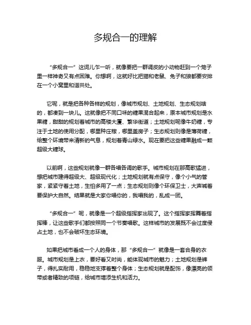 多规合一的理解