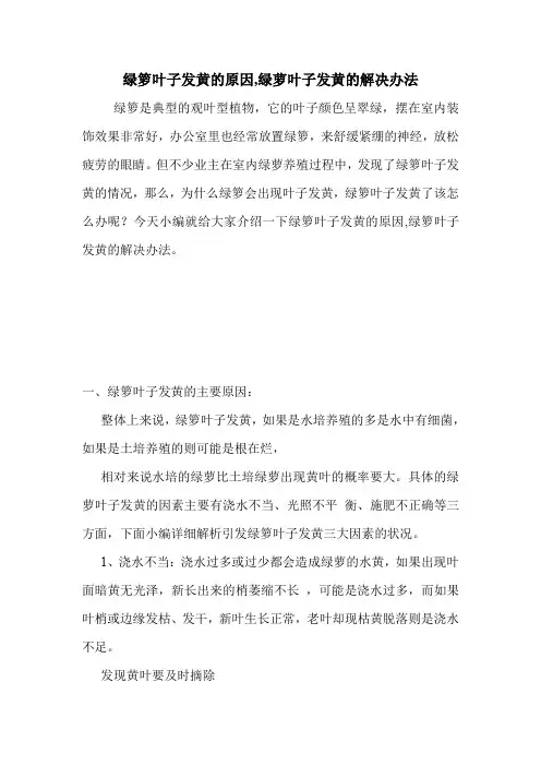 绿箩叶子发黄的原因,绿萝叶子发黄的解决办法.doc