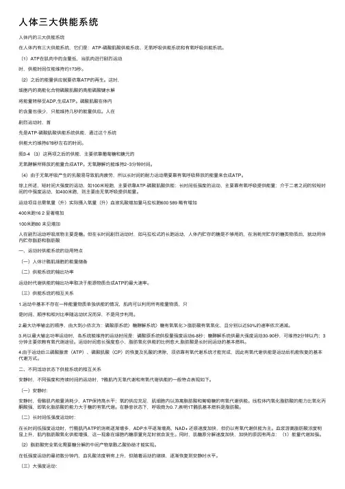 人体三大供能系统