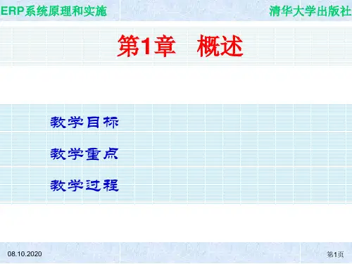 01ERP精品PPT课件