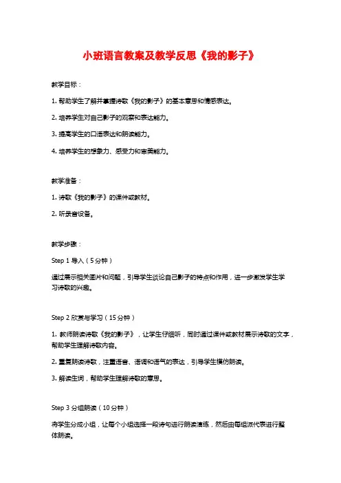 小班语言教案及教学反思《我的影子》