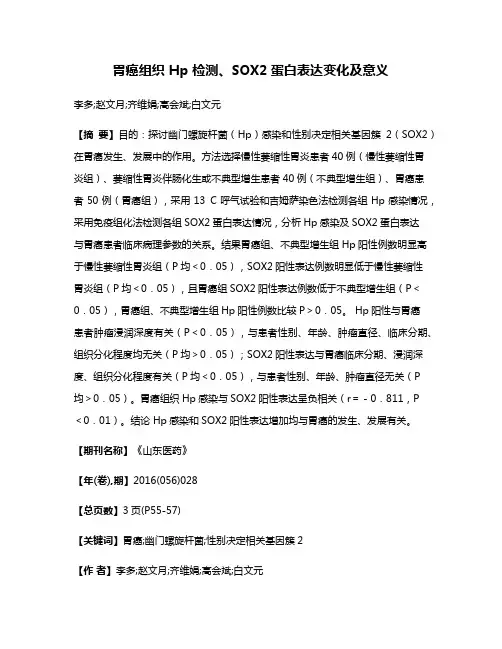 胃癌组织 Hp 检测、SOX2蛋白表达变化及意义