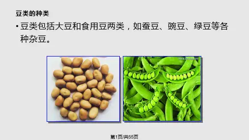 豆类的营养价值PPT课件