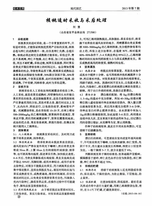 核桃适时采收与采后处理