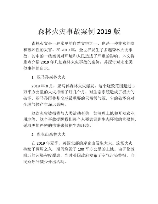 森林火灾事故案例2019版