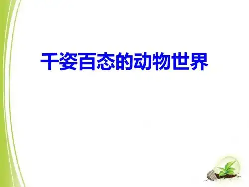 《千姿百态的动物世界》PPT课件 (共23张PPT)