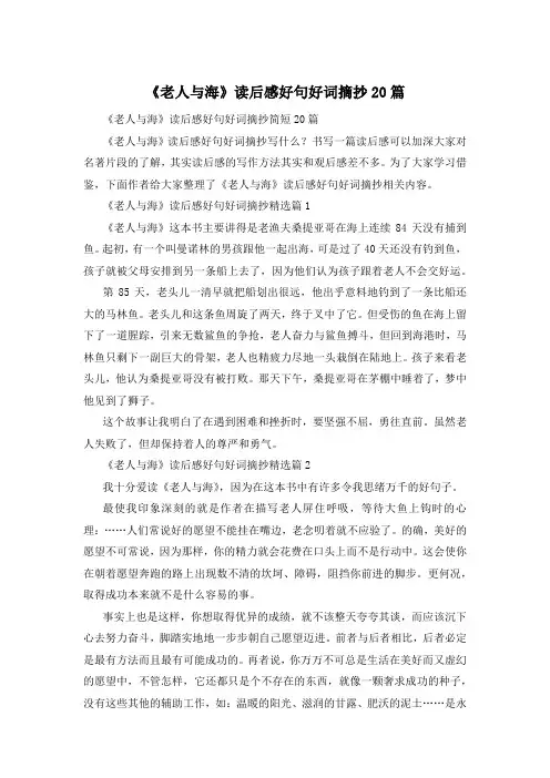 《老人与海》读后感好句好词摘抄20篇