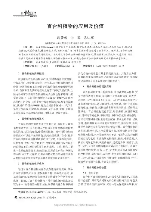 百合科植物的应用及价值