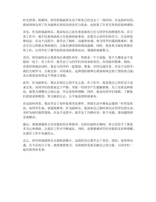 班级副班长工作感想