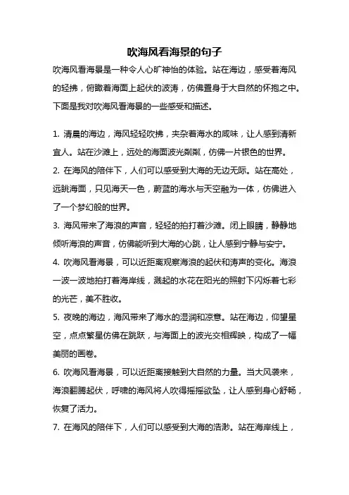 吹海风看海景的句子