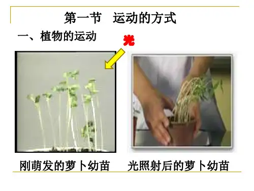 第八章生物的运动植物的运动方式