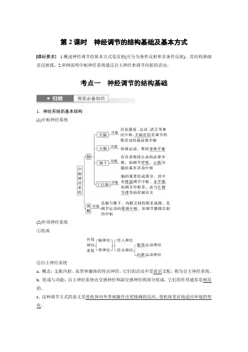 2024届高考一轮复习生物教案(新教材人教版鲁湘辽)：神经调节的结构基础及基本方式