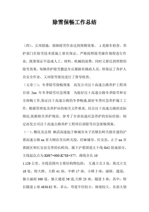 除雪保畅工作总结