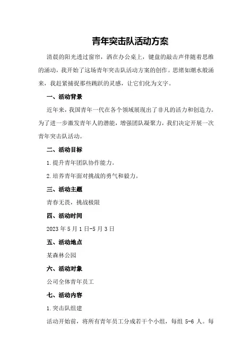 青年突击队活动方案